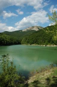 Ворон з panoramio.com