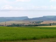 Сирень з panoramio.com