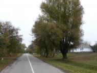 Самгородок з panoramio.com