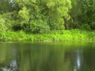 Медведівка з panoramio.com