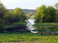 Блідча з panoramio.com