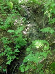 Андріївка з panoramio.com