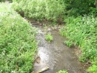 Дунаїв з panoramio.com