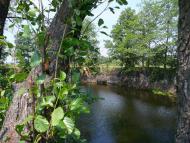 Чорногородка з panoramio.com