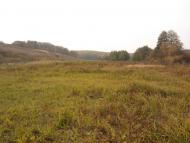 Буди з panoramio.com - Budy
