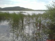 Молотків з panoramio.com