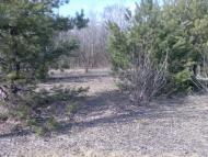 Баловне з panoramio.com