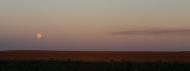 Поташенкове з panoramio.com