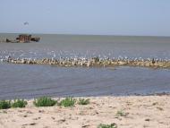 Ковське з panoramio.com