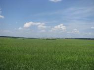 Аркушине з panoramio.com