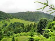 Орявчик з panoramio.com