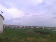 Новоганнівка з panoramio.com