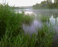 Сизе з panoramio.com