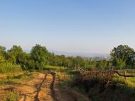 Ільниця з panoramio.com