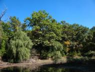 Анновка - Последние фото