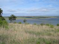 Паліївка з panoramio.com