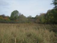 Глибоке з panoramio.com