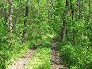 Криничне - Останні фото