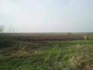 Піддубці з panoramio.com