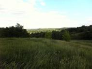 Лиски - Останні фото