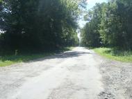 Баламутівка з panoramio.com