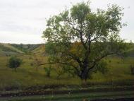 Георгіївка з panoramio.com