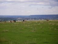 Добротів з panoramio.com