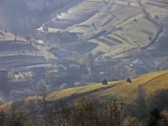 Зубриця з panoramio.com