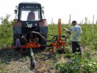 Вознесенка з panoramio.com