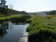 Струмок з panoramio.com