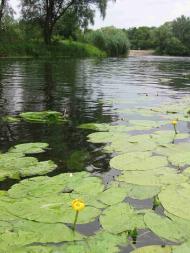 Черкаський Бишкин з panoramio.com