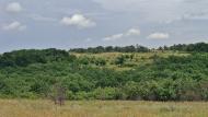 Русько-Орлівка з panoramio.com - Русско-Орловка