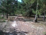 Волиця з panoramio.com