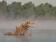 Поліське з panoramio.com