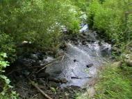 Медведівка з panoramio.com