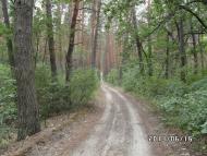 Скрипаї з panoramio.com