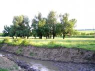 Шипинки з panoramio.com