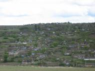Дубове з panoramio.com