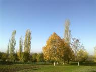 Воронівка з panoramio.com