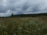 Франкопіль з panoramio.com