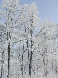 Войнівка з panoramio.com