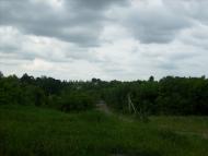 Сьомаки з panoramio.com