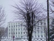 Мала Тур'я з panoramio.com