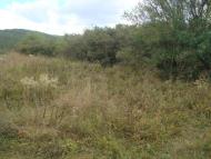 Строгонівка з panoramio.com