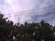 Зелений Гай з panoramio.com