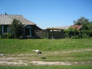 Ротівка з panoramio.com