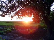 Клин з panoramio.com