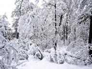 Пугачівка з panoramio.com