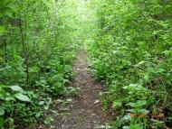 Стара Скварява з panoramio.com