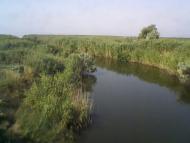 Малокатеринівка з panoramio.com